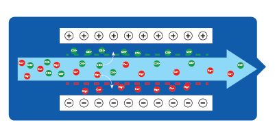 LDI purification process