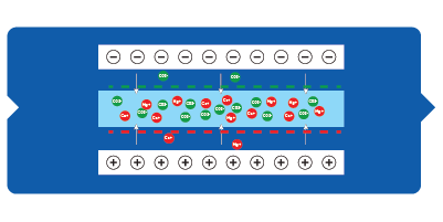 LDI purification process